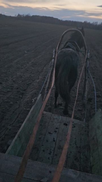 День на одном месте обучение