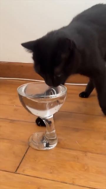 Танец с водой🤣