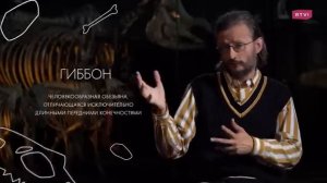Родня человека от моллюсков до сапиенсов - как понять что такое общие предки