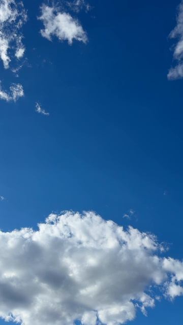 Облака в луже