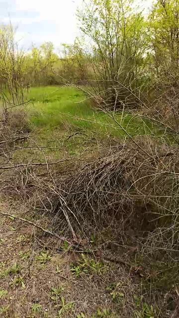 Наш участок Начало.