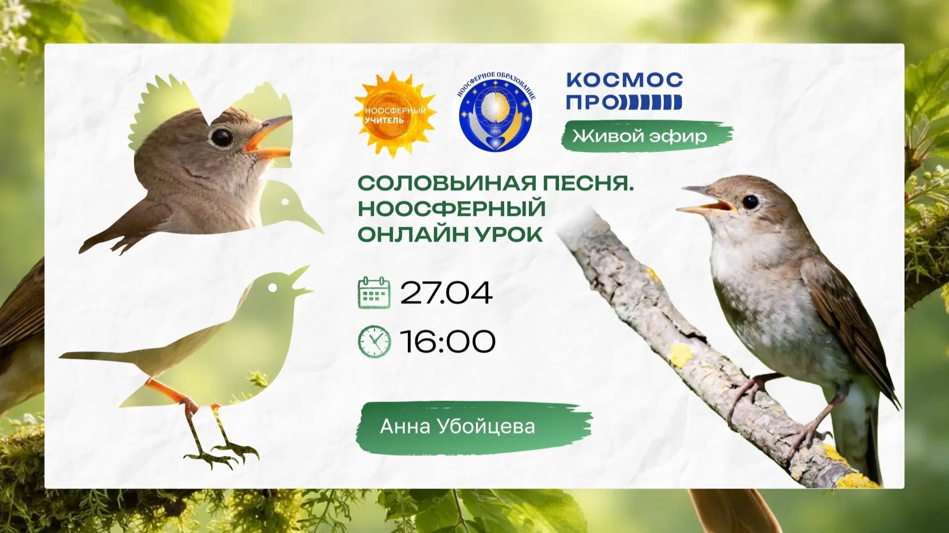 Соловьиная песня с Анной Убойцевой. Эфир от 27.04.26г.