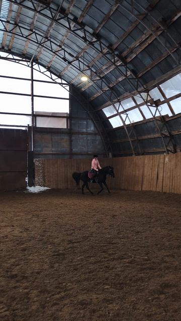 Даша и Наоми, галоп по стенке с переходом в шаг на средней линии, простая перемена на галопе.