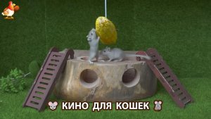 Видео для кошек про крысок развлекать питомцев 🐭🐀😂 (516)