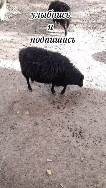 гостеприимство