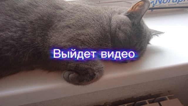 мб....