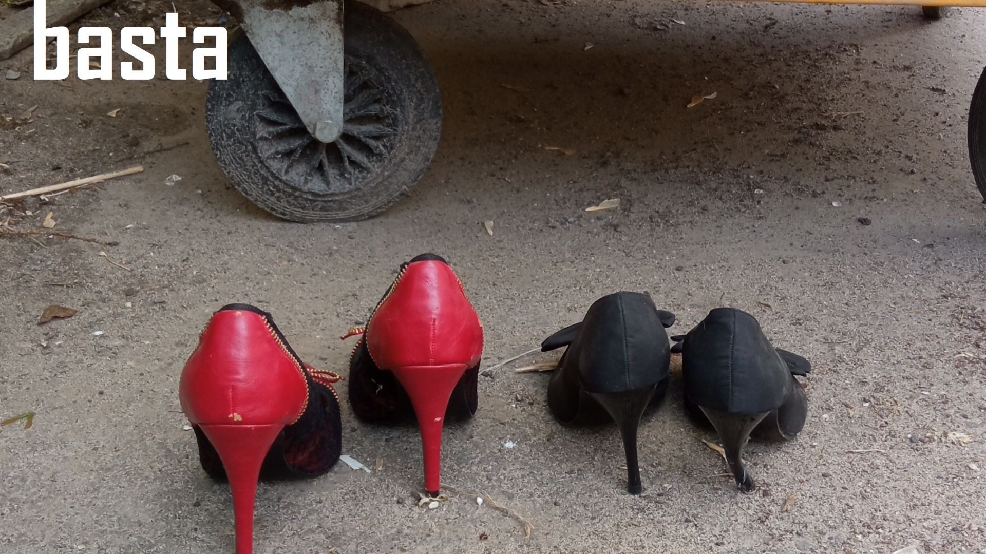 Natrix Natrix - Basta