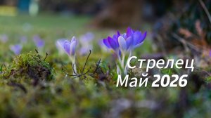 Прогноз для Стрельцов на Май 2026
