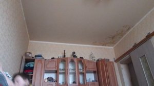 трейлер 2 сезона школа итальянских мемов