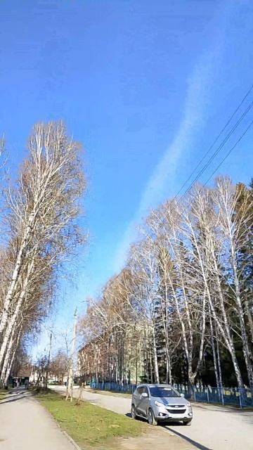 Весна, птицы поют😌 #весна #птицыпоют
#ЕвгенияГалактионовапоэтесса #музыка