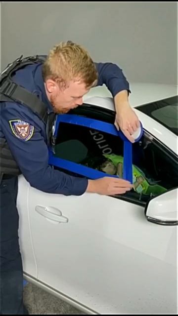 На случай, если вы оставили ключи, ребенка или что-то еще в машине.