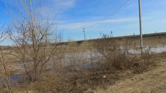 Большая вода р.Яя 29.04.2026