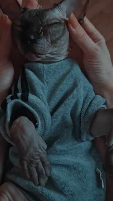 Расслабься после трудового дня вместе с Банни 🫠