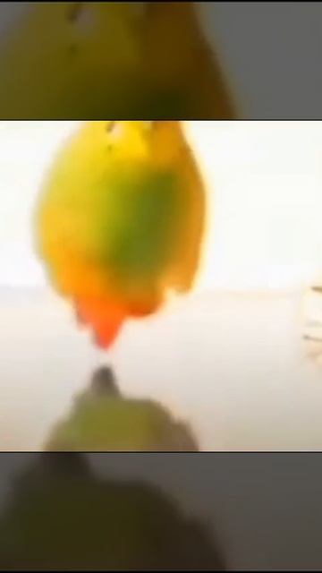 Когда начинается выброс ,а ты на конце мира без укрытий