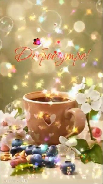 Доброе утро!) Чудесного дня!) #доброеутро