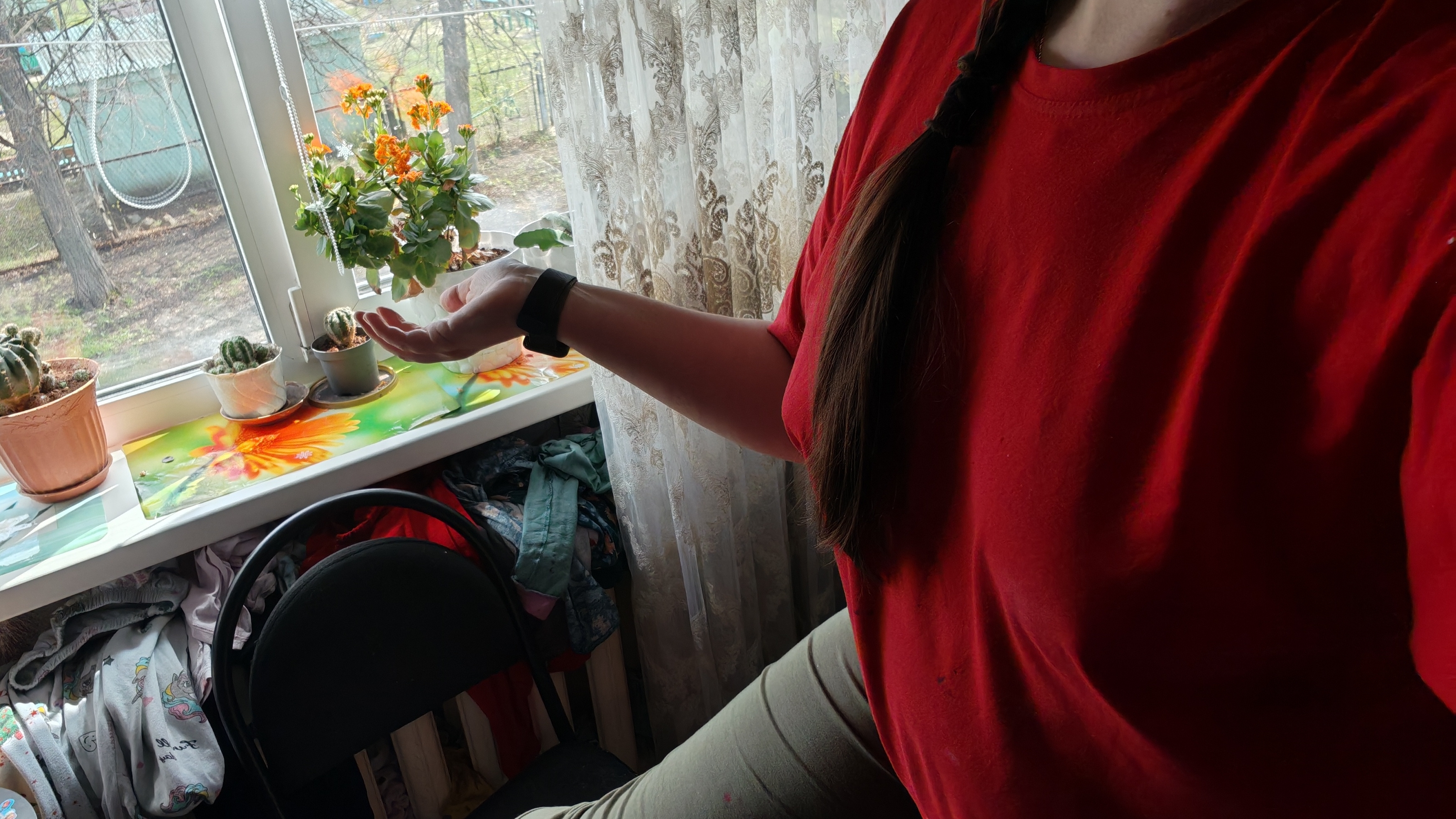 деревенская соната