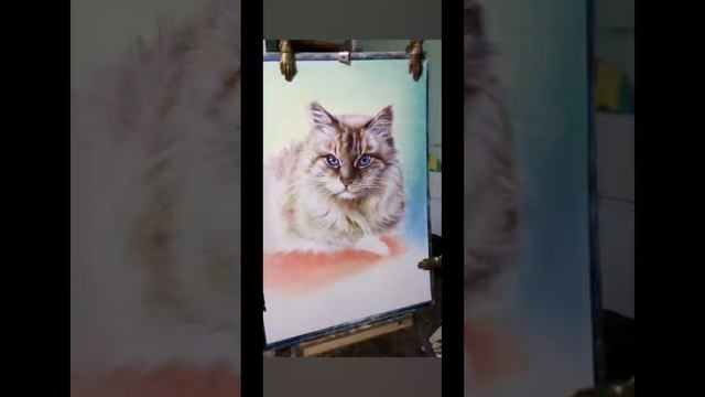 Урок как нарисовать кошку.