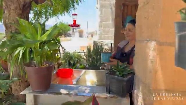 Зеленые чилакилы, такие как те, что были до Завтрака на ранчо со вкусом Домашнего очага