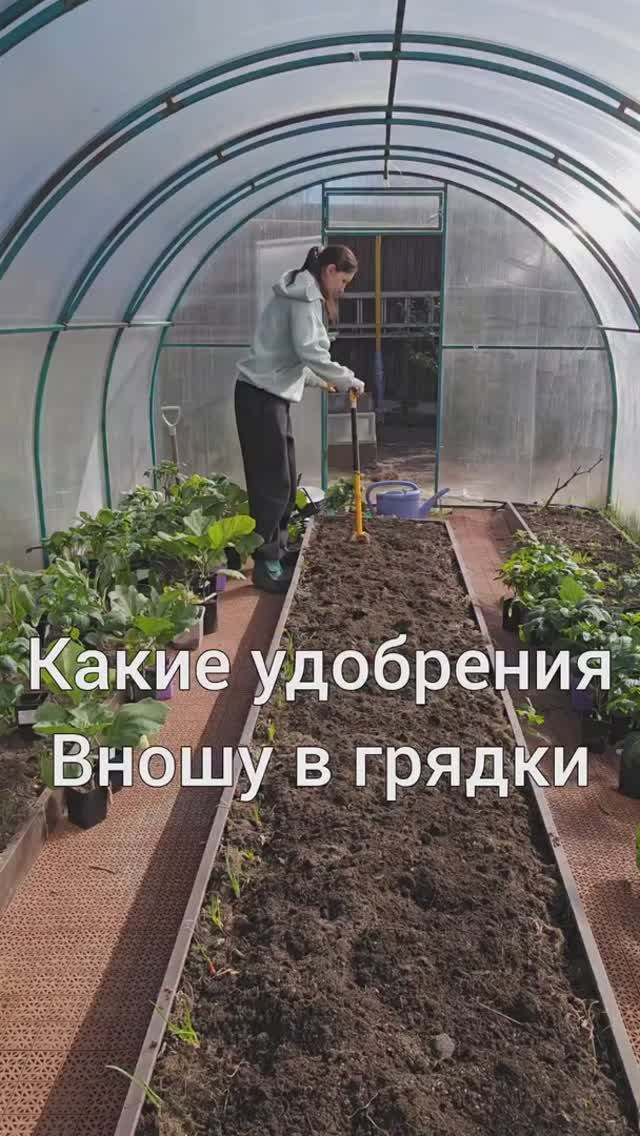Какие удобрения я вношу в грядки перед посадкой