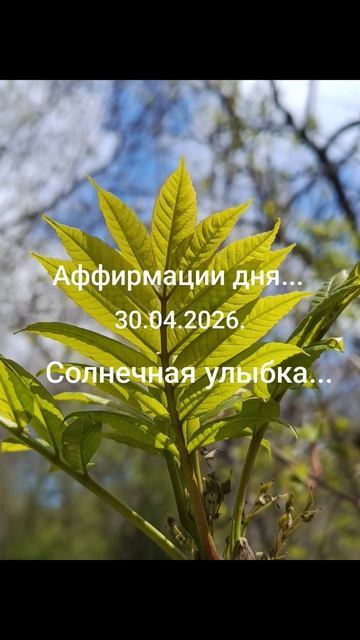 Девиз дня!✨30.04.2026. Улыбайтесь, господа! Солнечная улыбка и доброта притягивает удачу!#мысли#душа