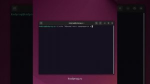 RGB текст в терминале Linux