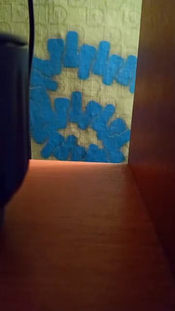 Стрим о любимках