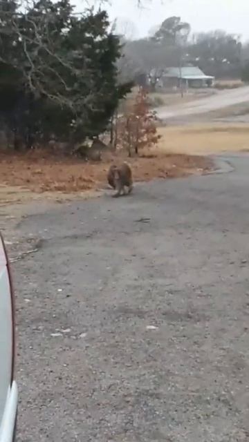 Такой концовки я и сам не ожидал (285)