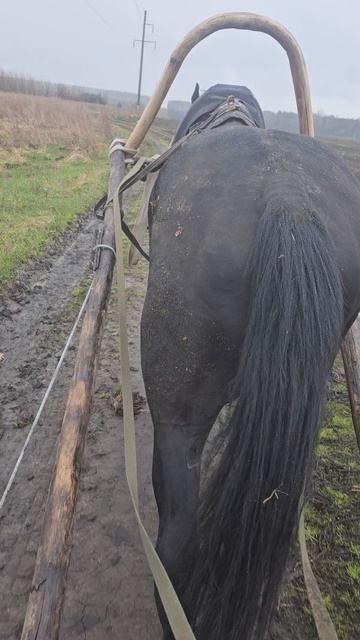 Выехал летом,приехал зима