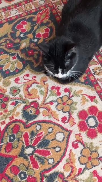 Население в предвкушении 1 мая и тепла. ☀️