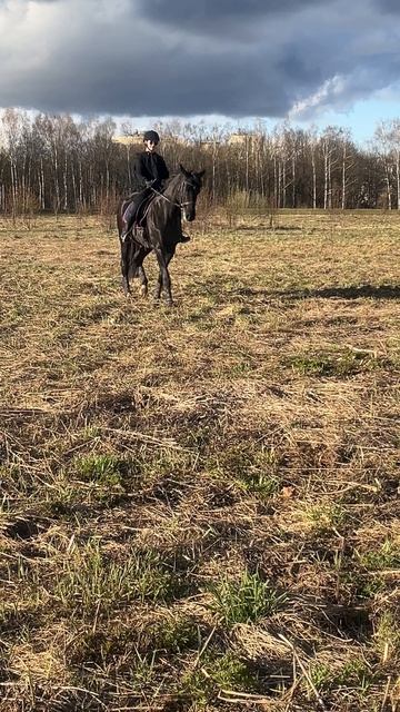 Вика и Дольче Вита, принимание на шагу.
