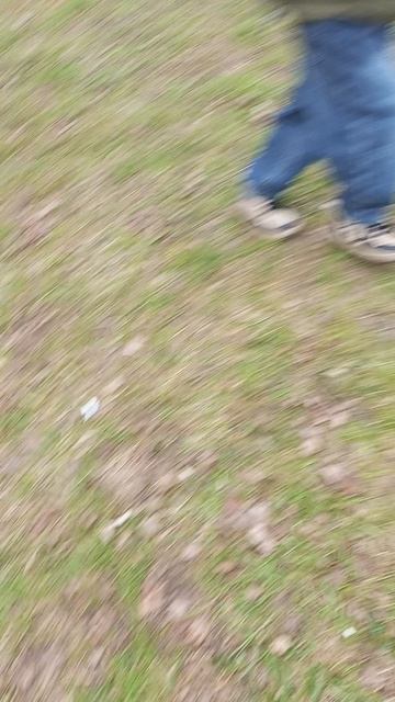 гуляю во дворе