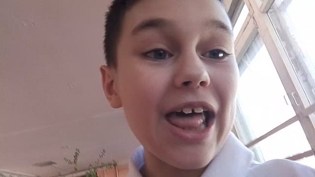 тест по фнаф колы