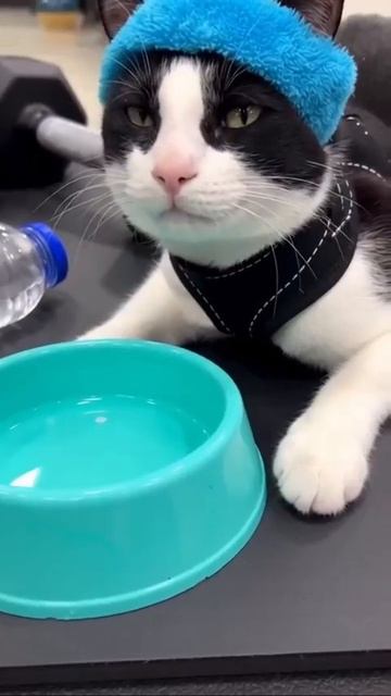 Подготовка к лету полным ходом