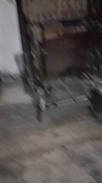 1000009993.mp4