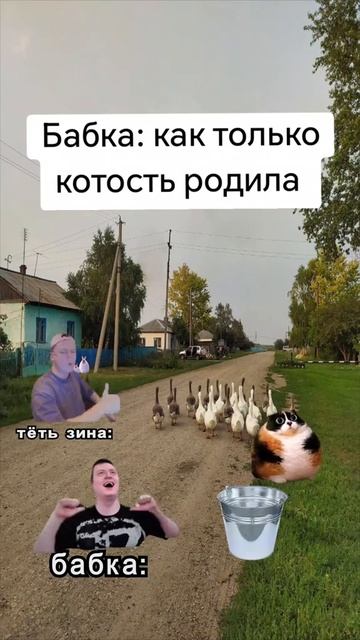котость сериал 7часть