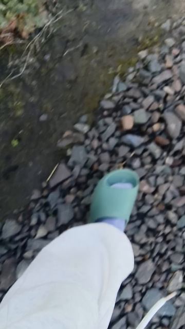 1000021544.mp4