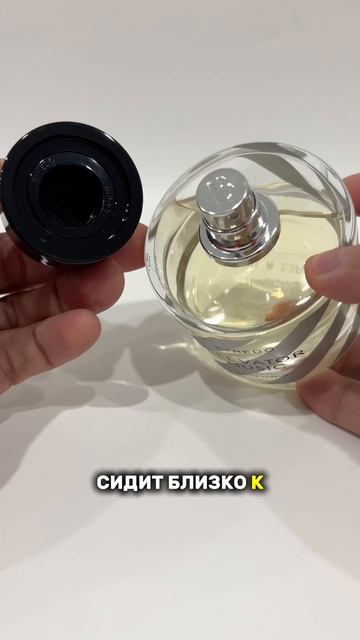 древесный и слегка солоноватый аромат - для мужчин и женщин духи парфюмерия купитьдухи парфюм т