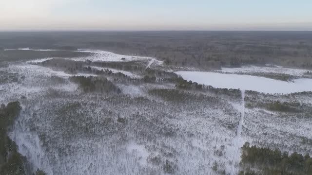 ОХОТА НА ВОЛКОВ, БЕЙ ВОЛКОВ СПАСАЙ ЛОСЕЙ