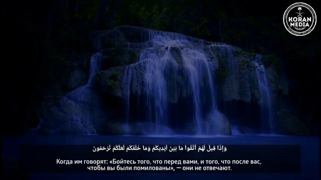 чтение Корана сура 36 Ясин чтец Мансур Ал Салими