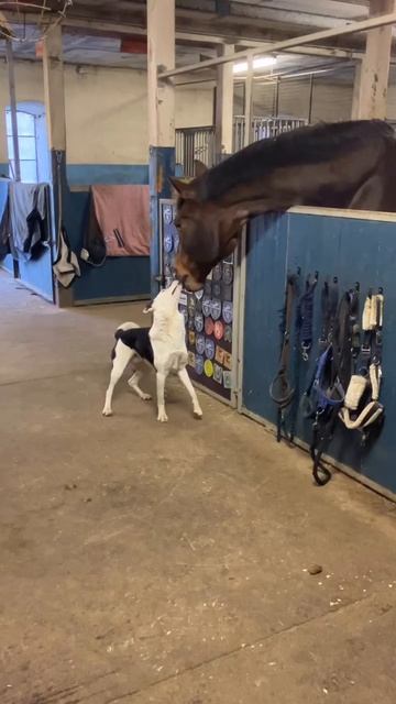 Дружеское общение