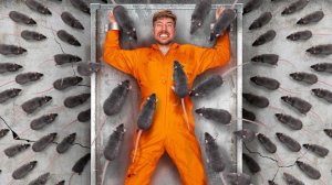 ВЗГЛЯНИ СВОИМ СТРАХАМ В ЛИЦО, ЧТОБЫ ПОЛУЧИТЬ $800,000! MRBEAST МИСТЕРБИСТ НА РУССКОМ мистер бист