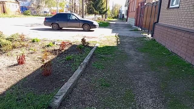 ТЁПЛЫЙ, СОЛНЕЧНЫЙ ДЕНЬ.