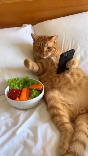 Похоже он не любит овощи 🥒🤣🤣🤣