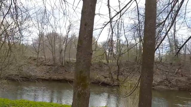 Идем вдоль Нового Иерусалима до Елеона. 29 апреля