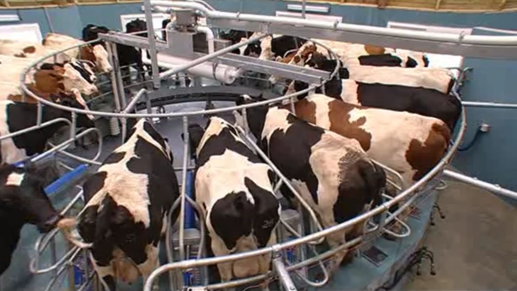 Доильный зал Внешняя Карусель Xpedia_360ex