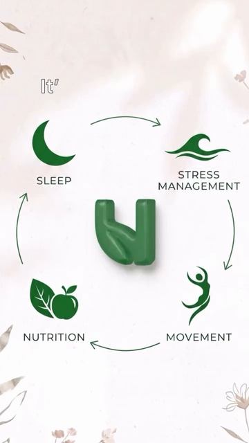 Энергия, настроение и восстановление — не отдельные вещи, а единая система.