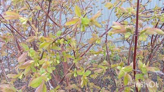 Скоро май. А пока холодно.