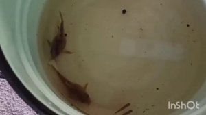 Домашние Хлопоты архив