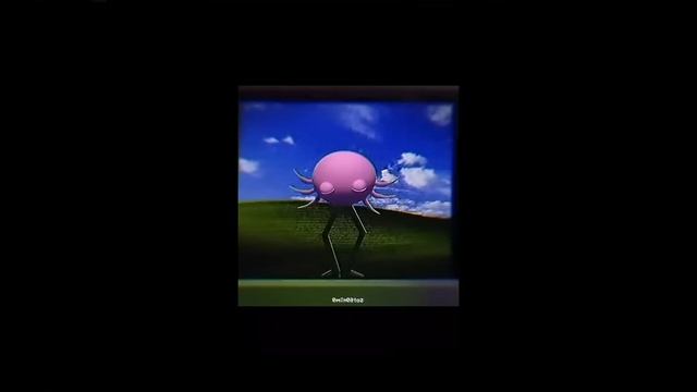 все видео мемы про генита пэт