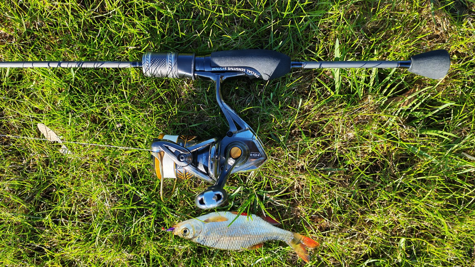 МОРМЫШИНГ. Утром 22 апреля 2026 года